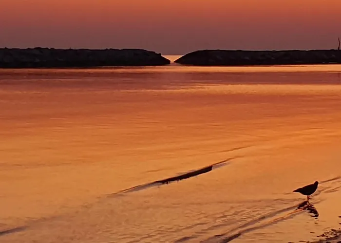 Apartment Playa Degli Angeli Grecale